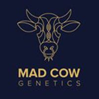 Runthol | Smalls | 3.5g by Mad Cow Genetics