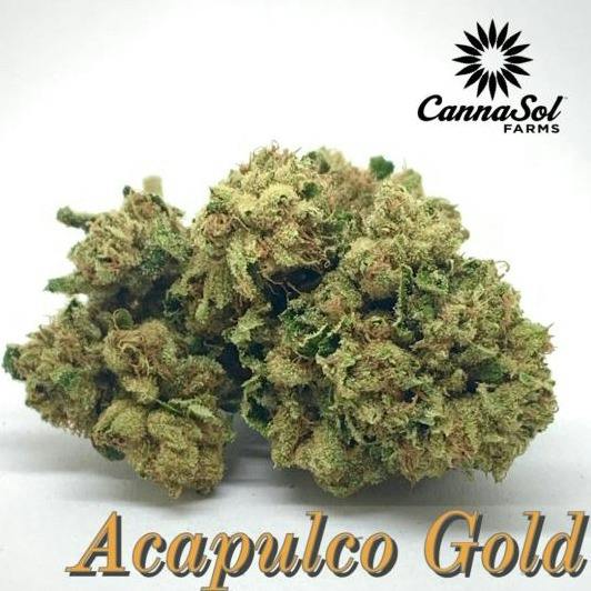 Acapulco Gold | Buds | 3.5g