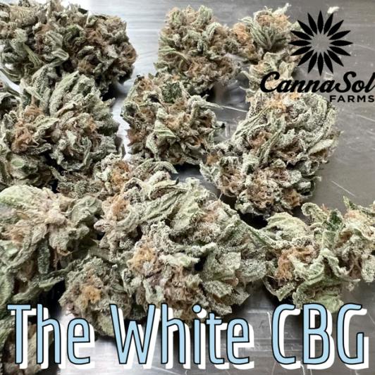 The White CBG | Buds | 3.5g