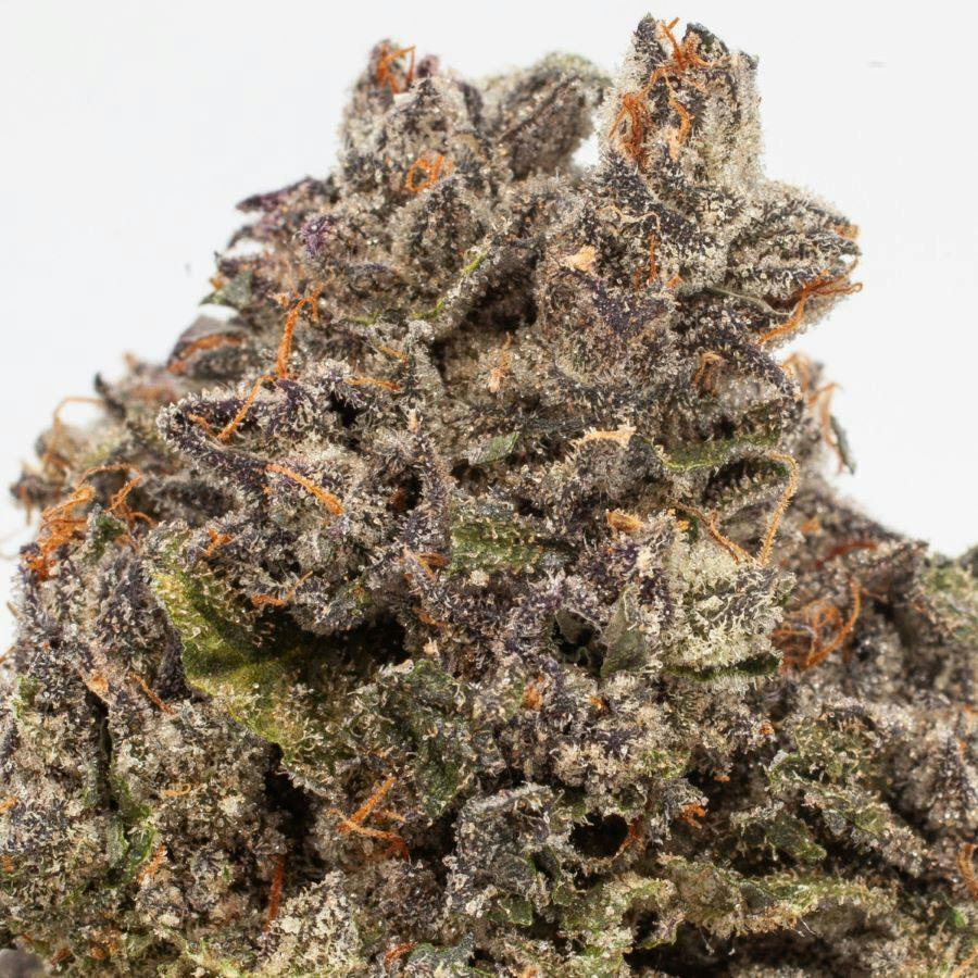 Sundae Sunset | Big Buds | 3.5g