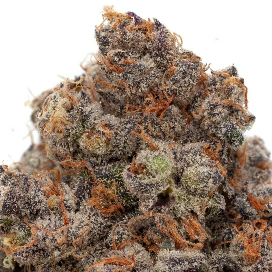socrates sour | Big Buds | 3.5g