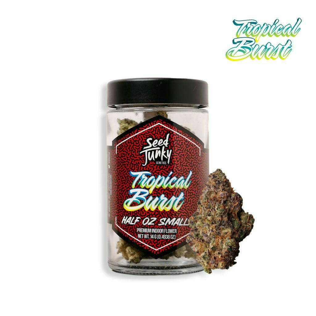 Tropical Burst | Smalls | 14g by Seed Junky