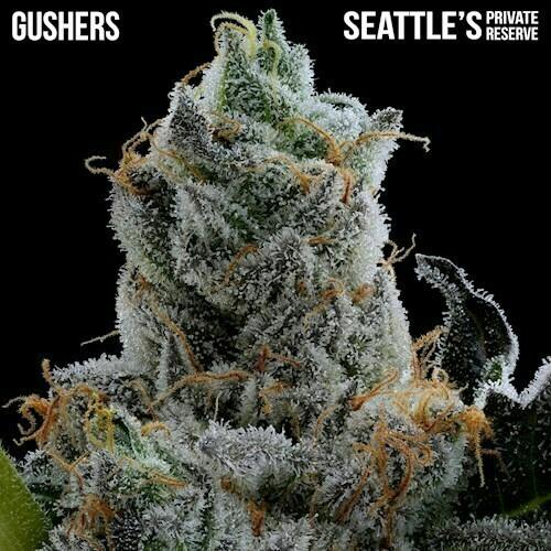 Gushers | Big Buds | 3.5g