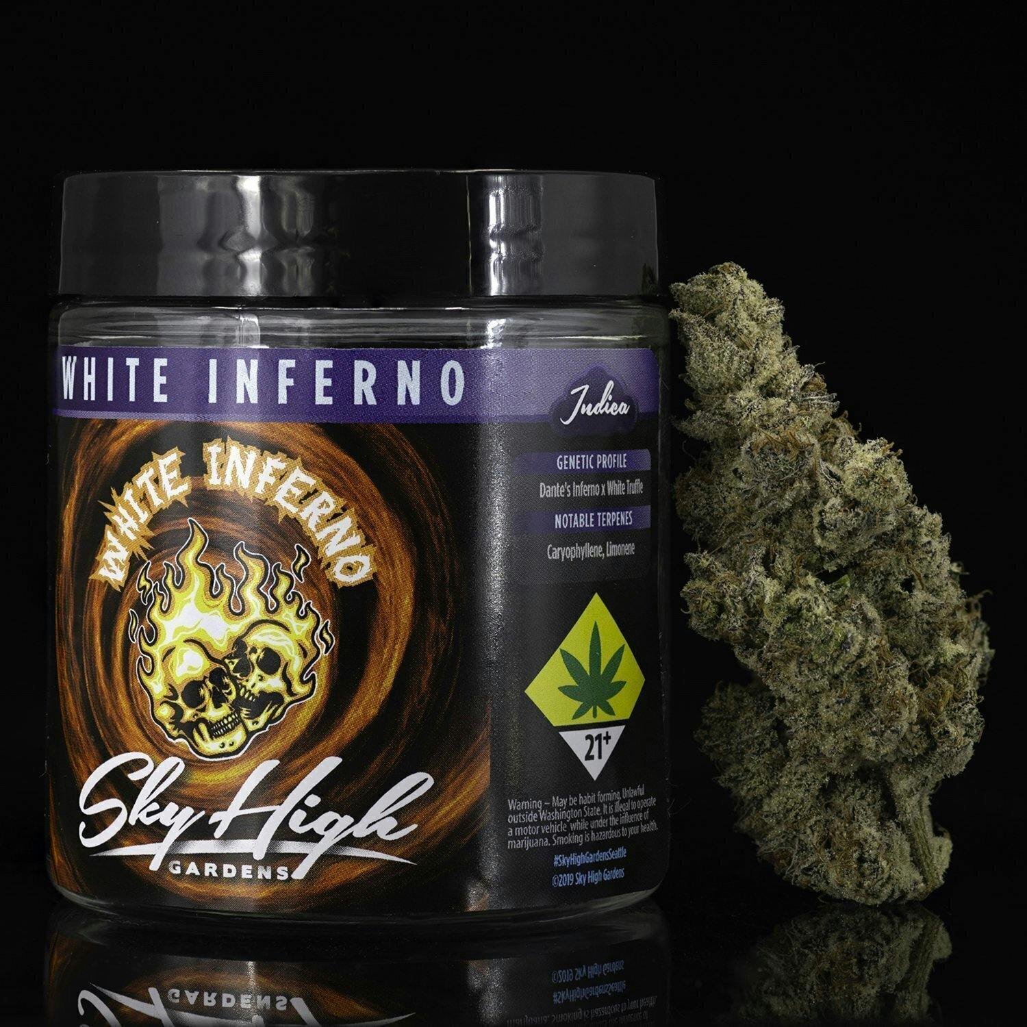 White Inferno | Big Buds | 3.5g