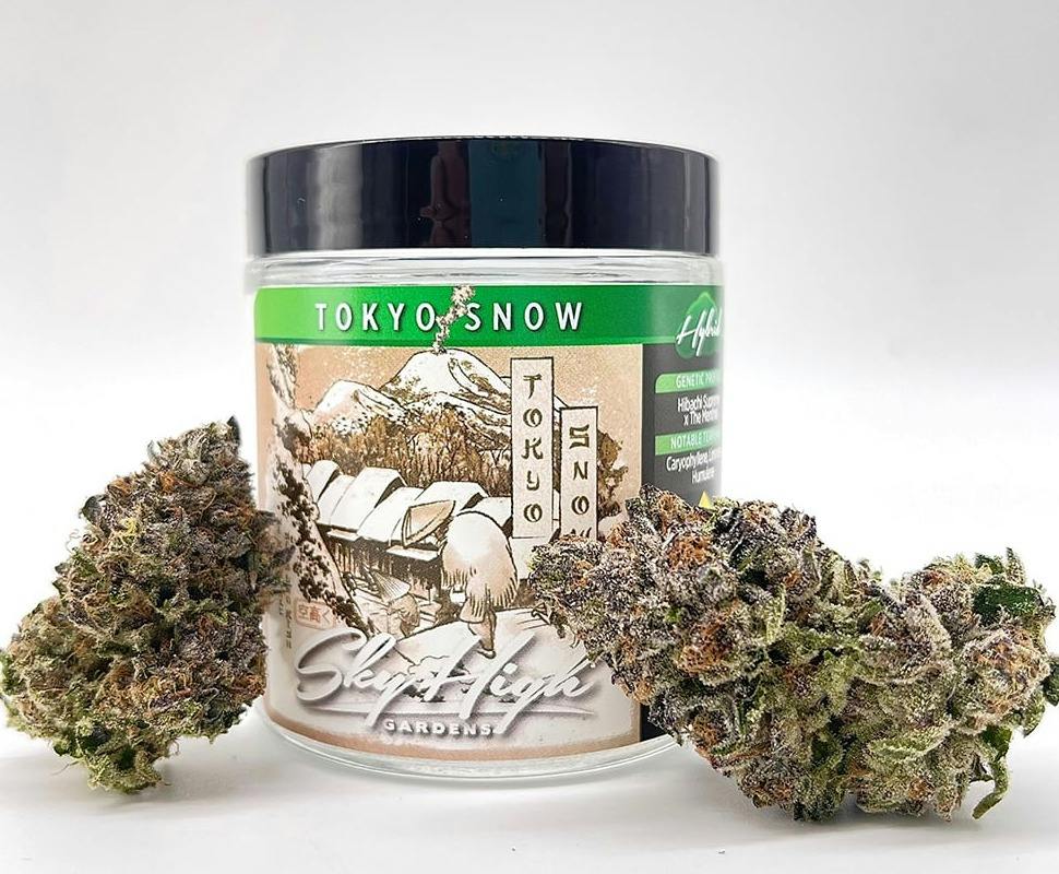 Tokyo Snow | Big Buds | 1g