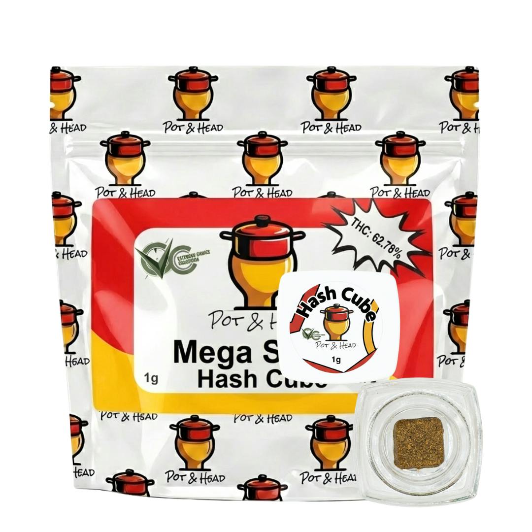 1G | HASH CUBE TIER 2 | MEGA SQUIRT at Corner House