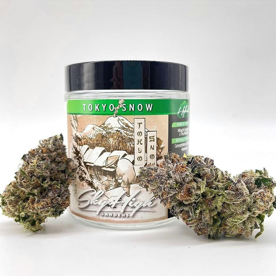 Tokyo Snow | Big Buds | 3.5g