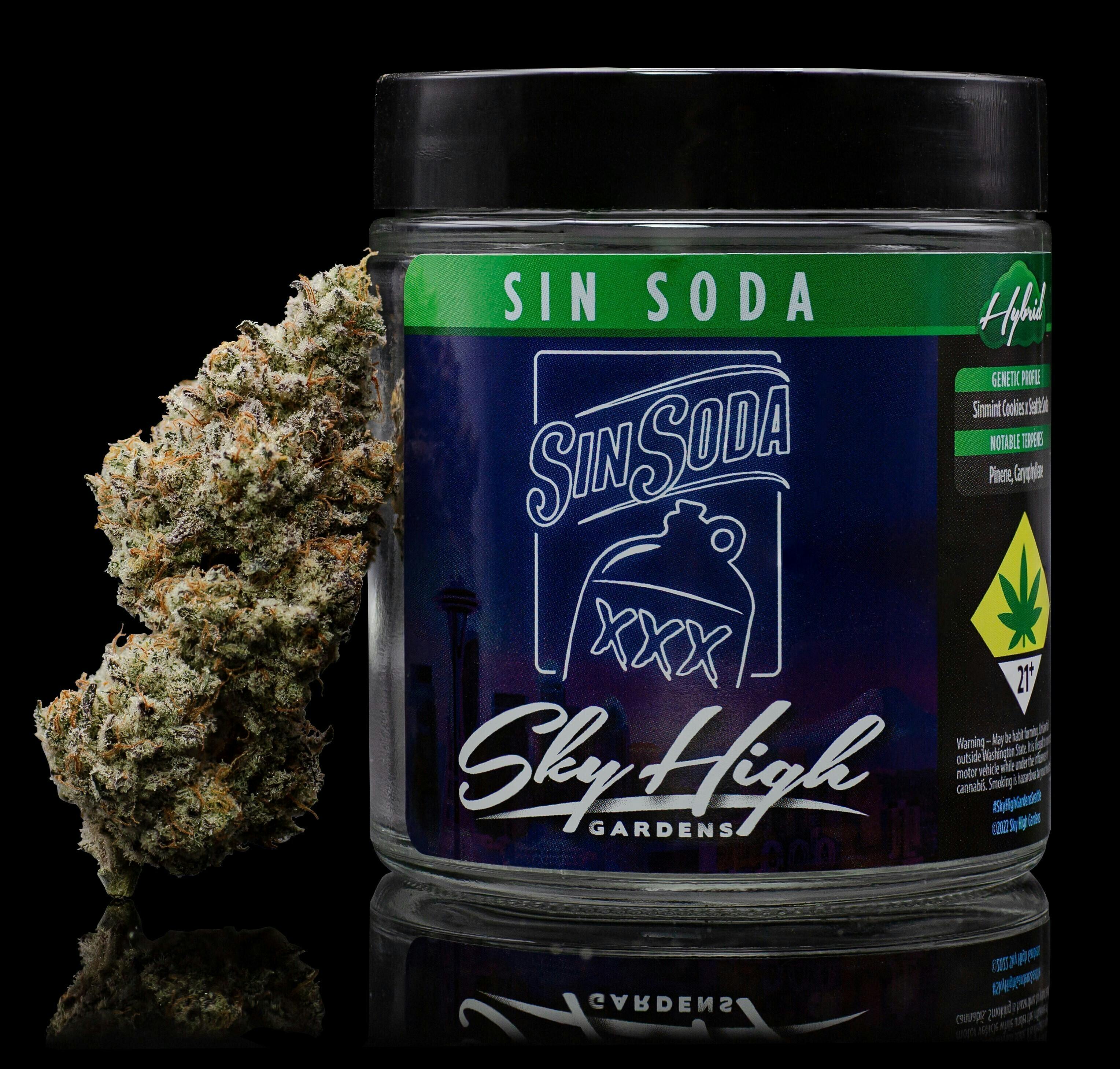 SinSoda | Big Buds | 1g