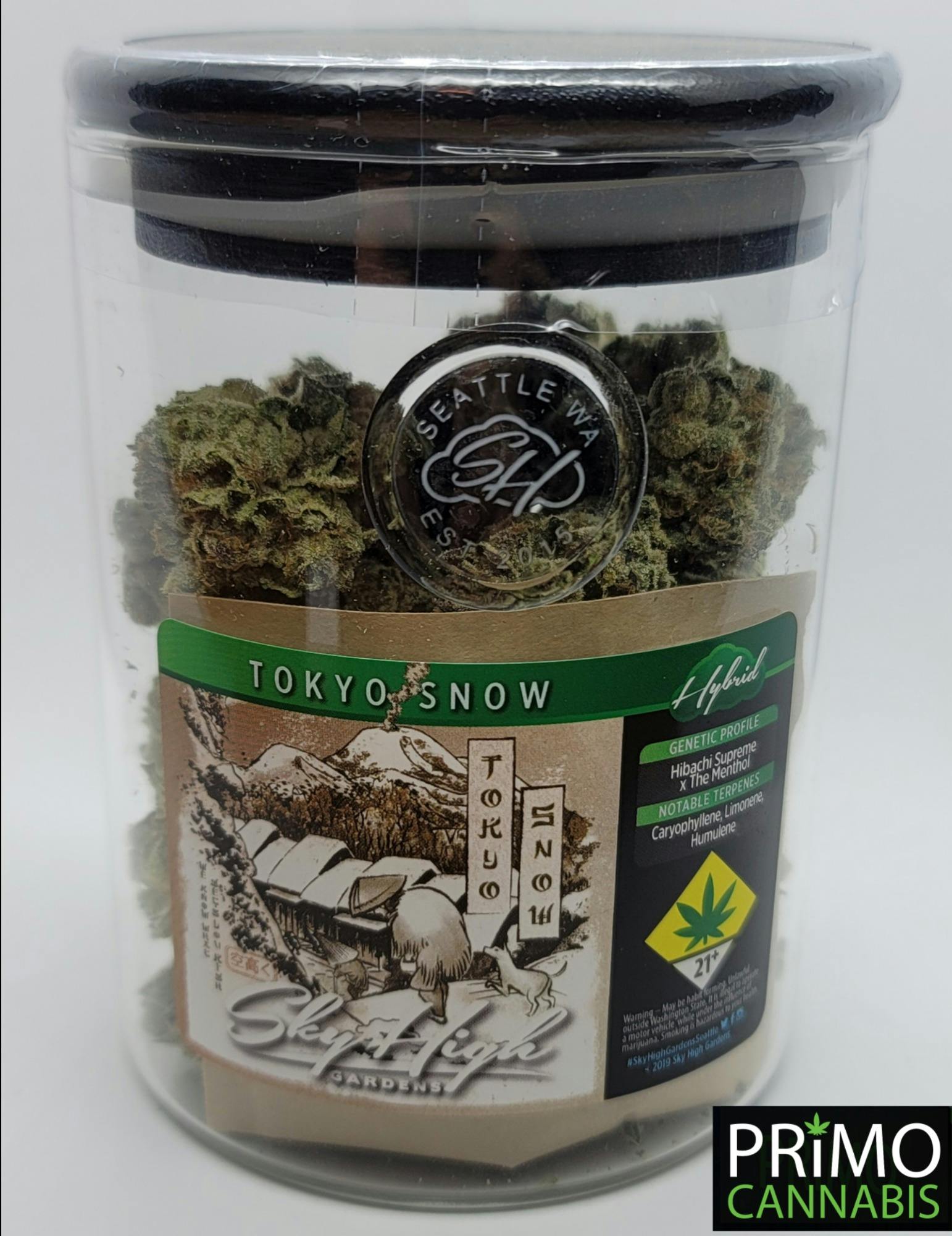 Tokyo Snow | Big Buds | 7g