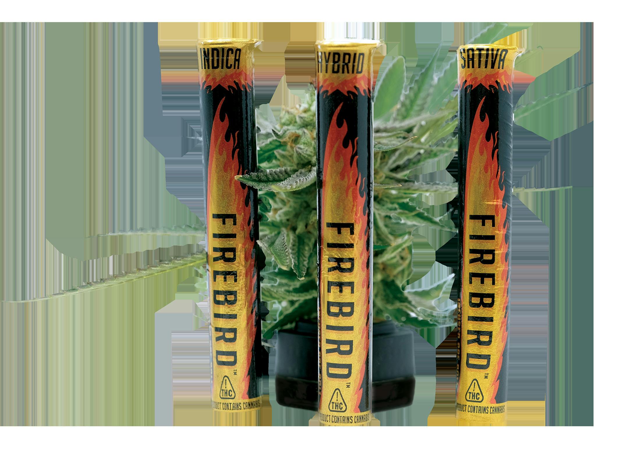 Haole Girl | Infused Joint | 1g