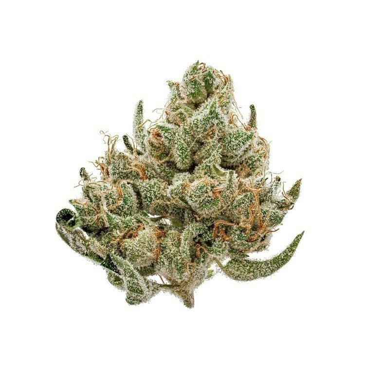 Boysenberry Creme Brulee | Big Buds | 3.5g cannabis product