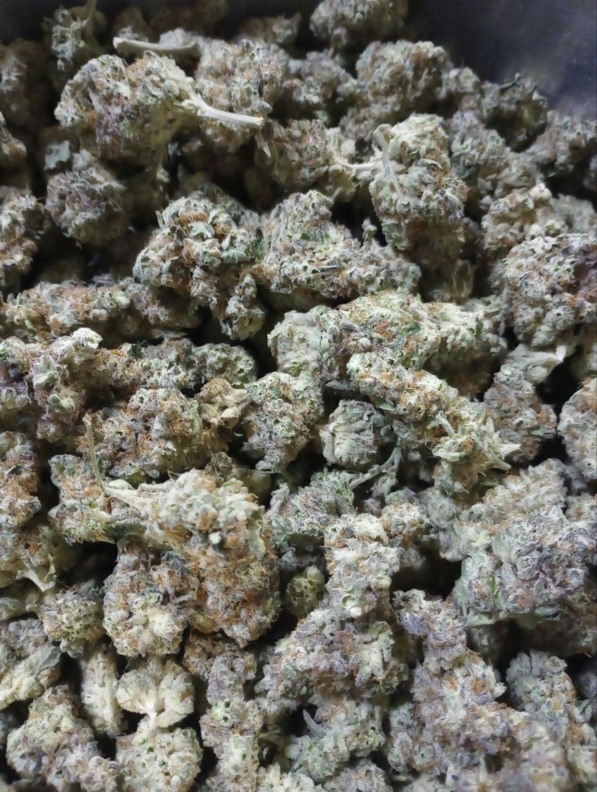 Ape Shit | Big Buds | 1g