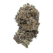 Jack Truffle | Big Buds | 14g