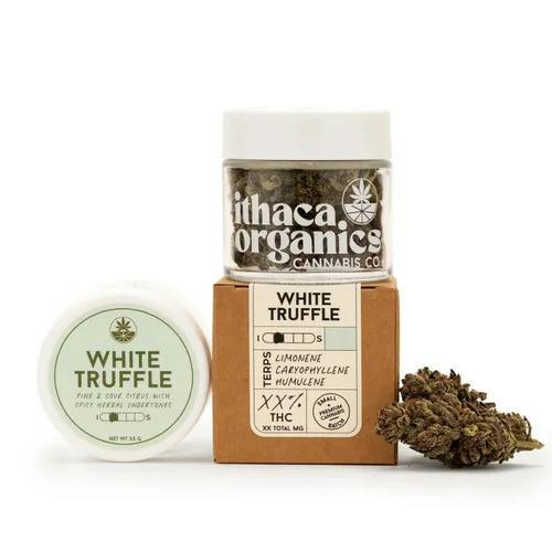 White Truffle | Big Buds | 3.5g
