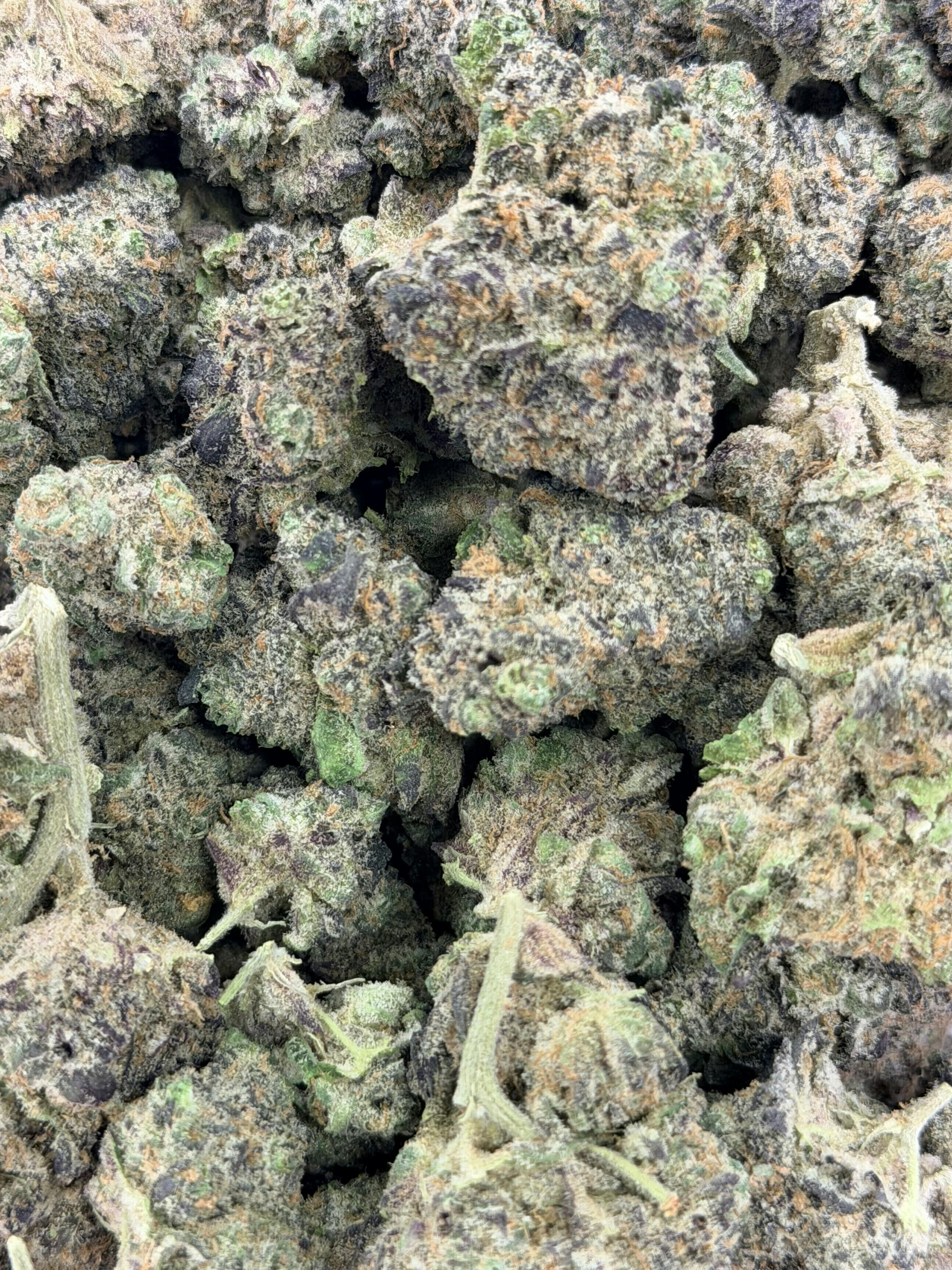 Gary Poppinz | Big Buds | 1g by Deli