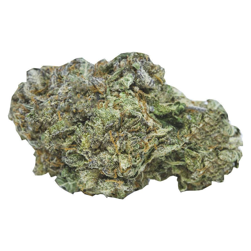 Ontario's Own Sativa | Big Buds | 28g
