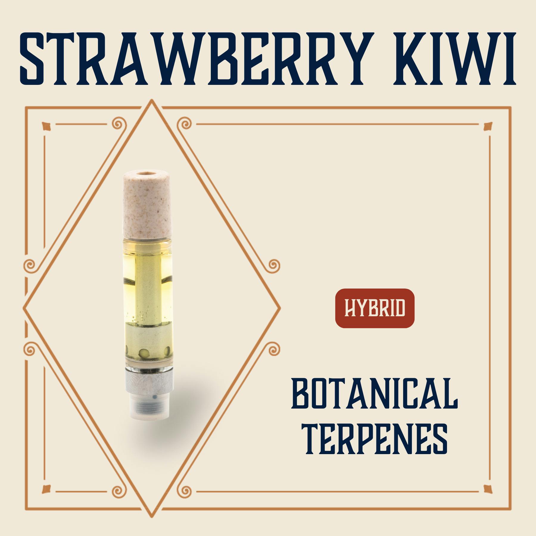 Strawberry Kiwi | Cartridge | 1g
