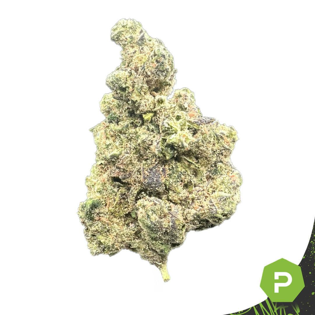 Sun Fuel | Big Buds | 1g