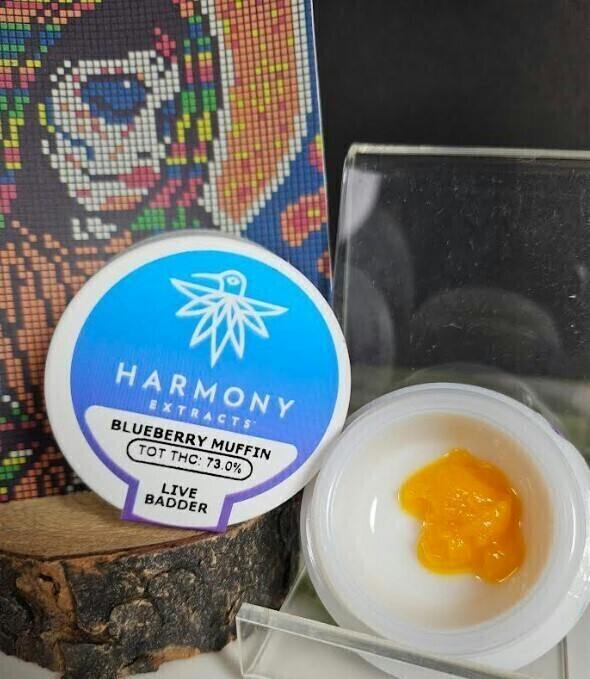 Blueberry Muffin | Solvent | Badder | 1g