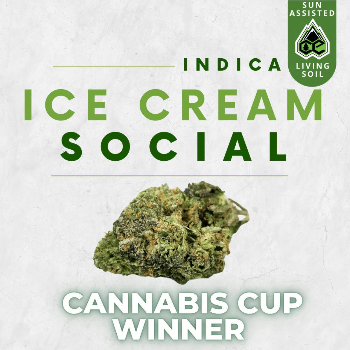 Ice Cream Social | Big Buds | 3.5g by Collective Elevation
