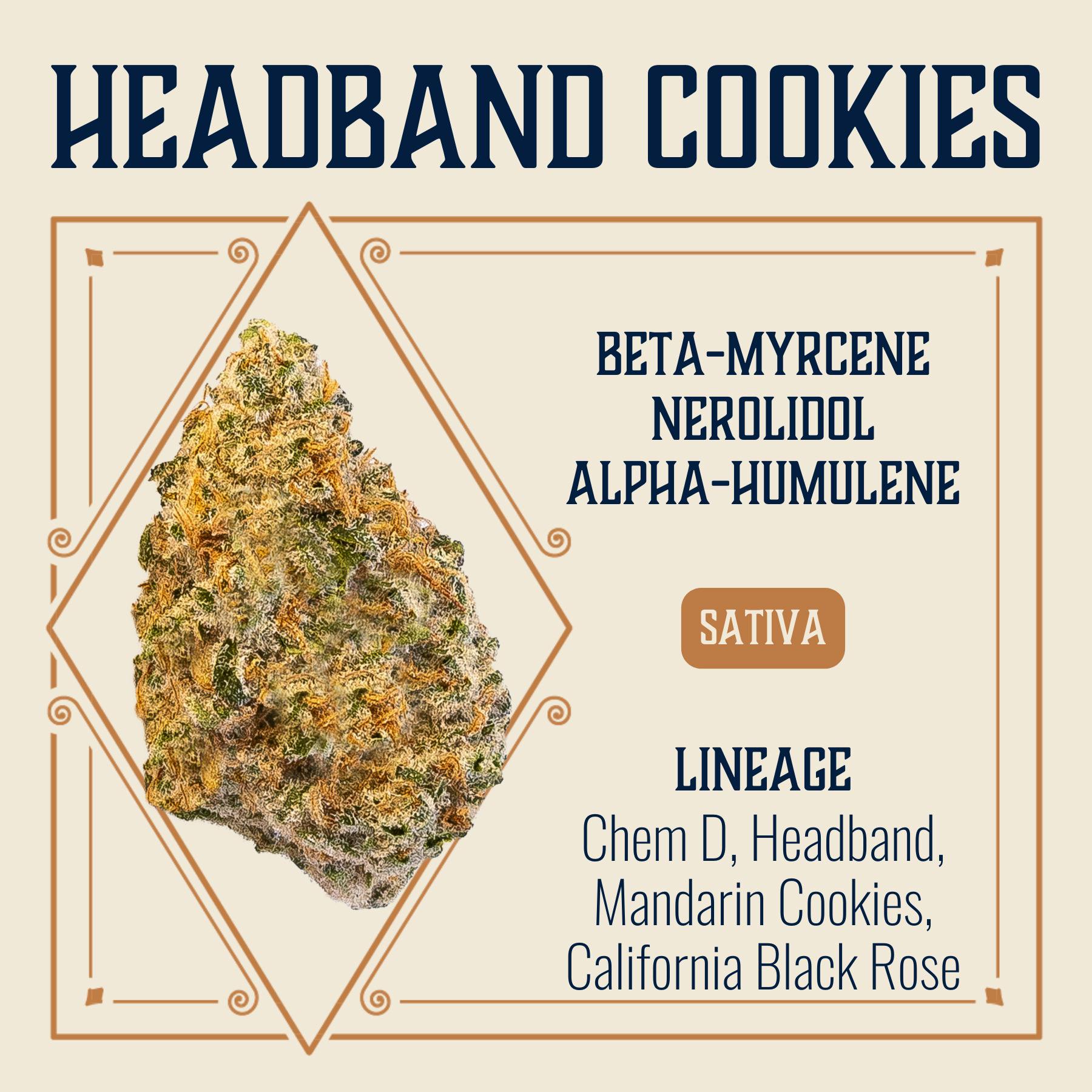 Headband Cookies | Big Buds | 3.5g by Elevate
