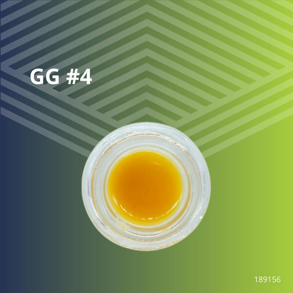 GG #4 | Solvent | 0.5g at Pure Dakota Health of Fargo