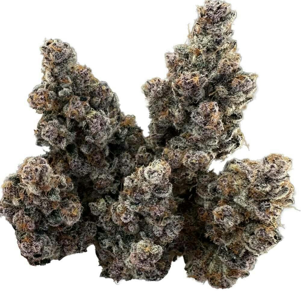 Tropical Infusion | Big Buds | 1g