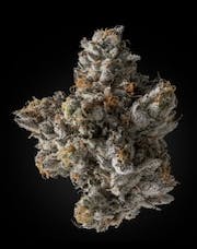 Fugazi Funk | Big Buds | 3.5g