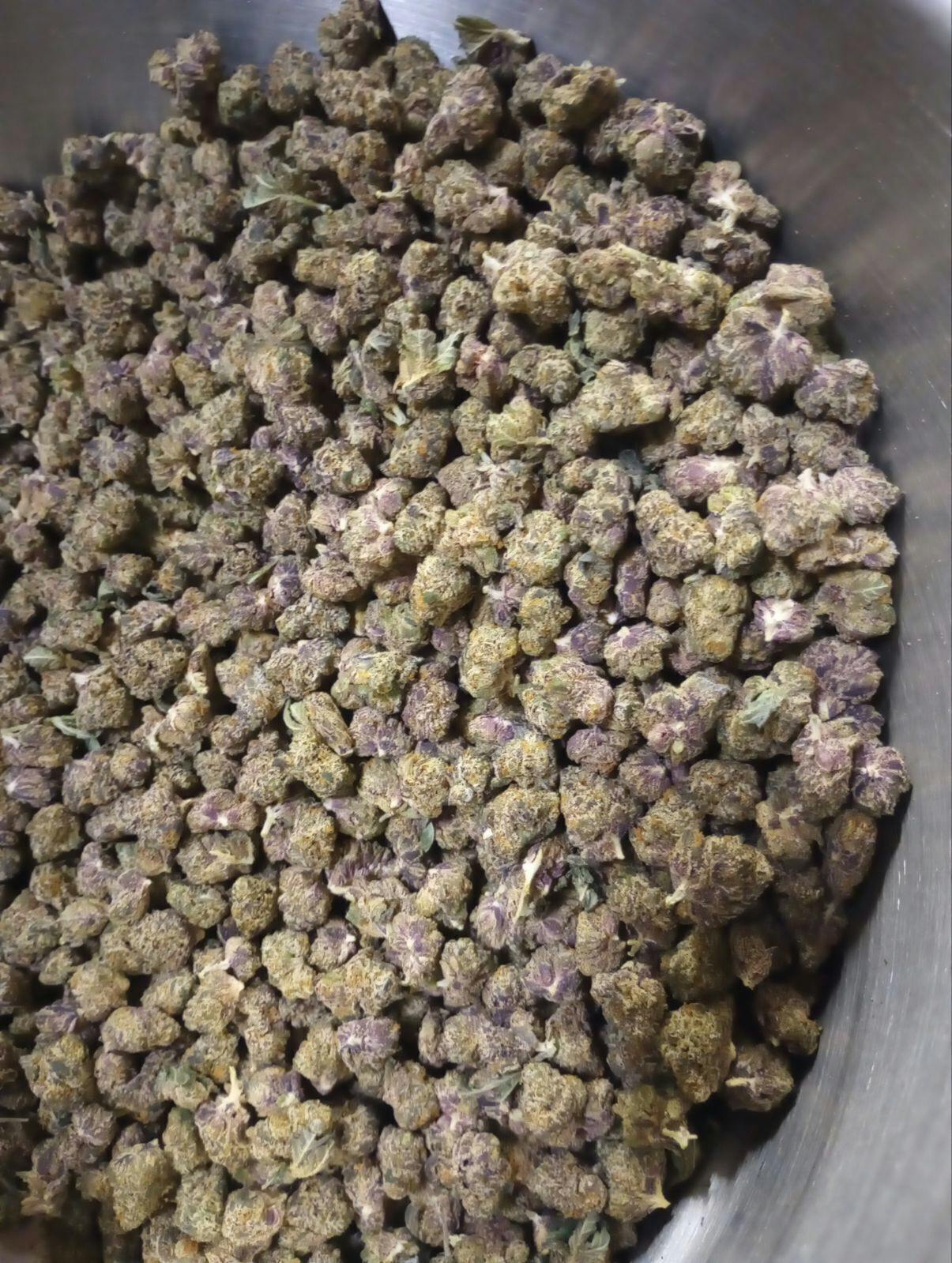 Facetz | Big Buds | 1g by One Garden