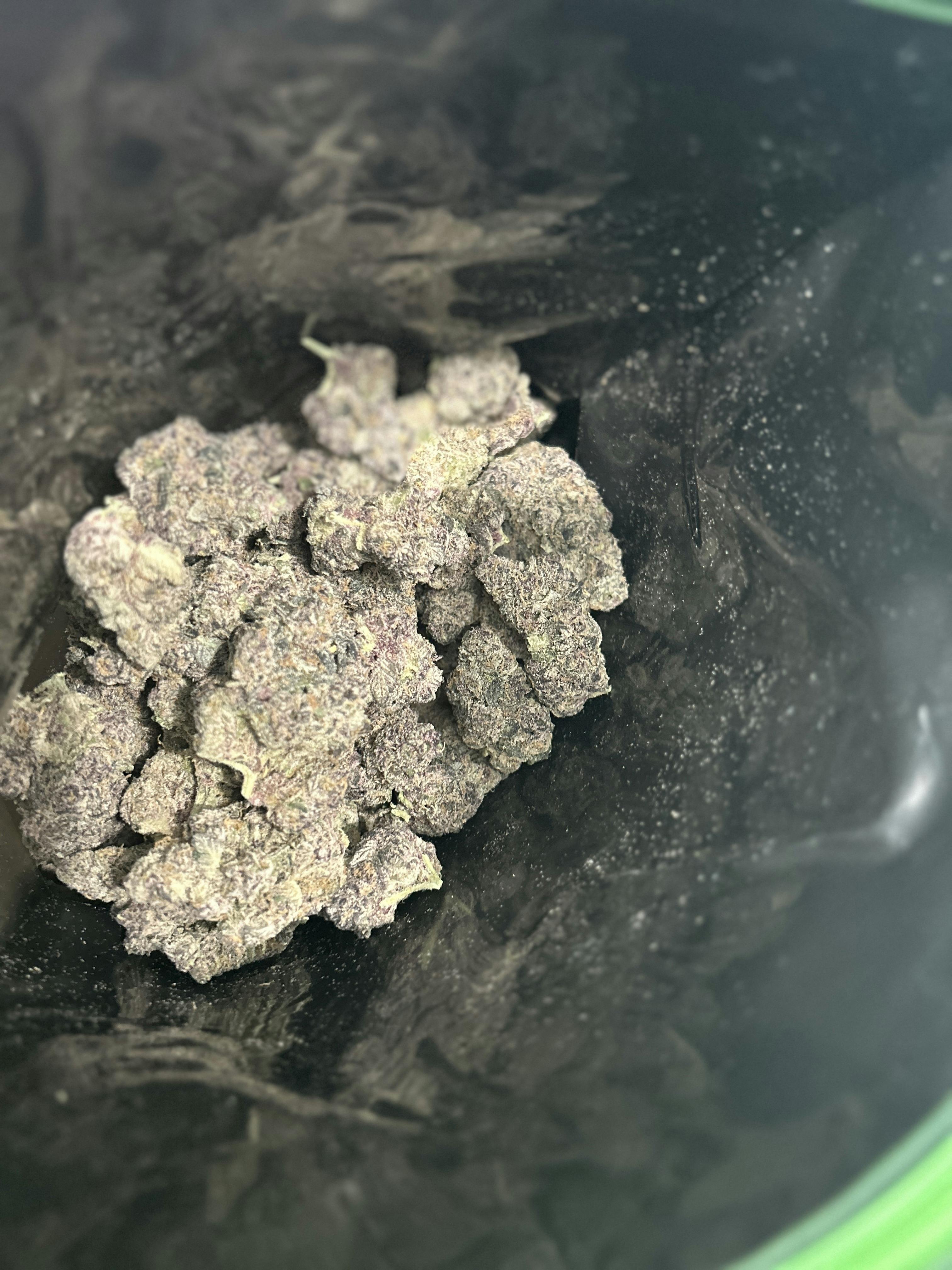 Gumbo | Big Buds | 28g