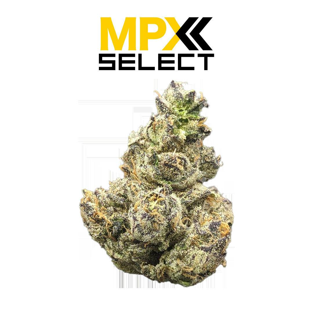 Mandarin Sunset | Big Buds | 3.5g by MPX (Melting Point Extracts)