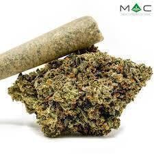 Cherry AK-47 x Jungle Cake | Joints | 1g at Pioneer Valley Trading Company