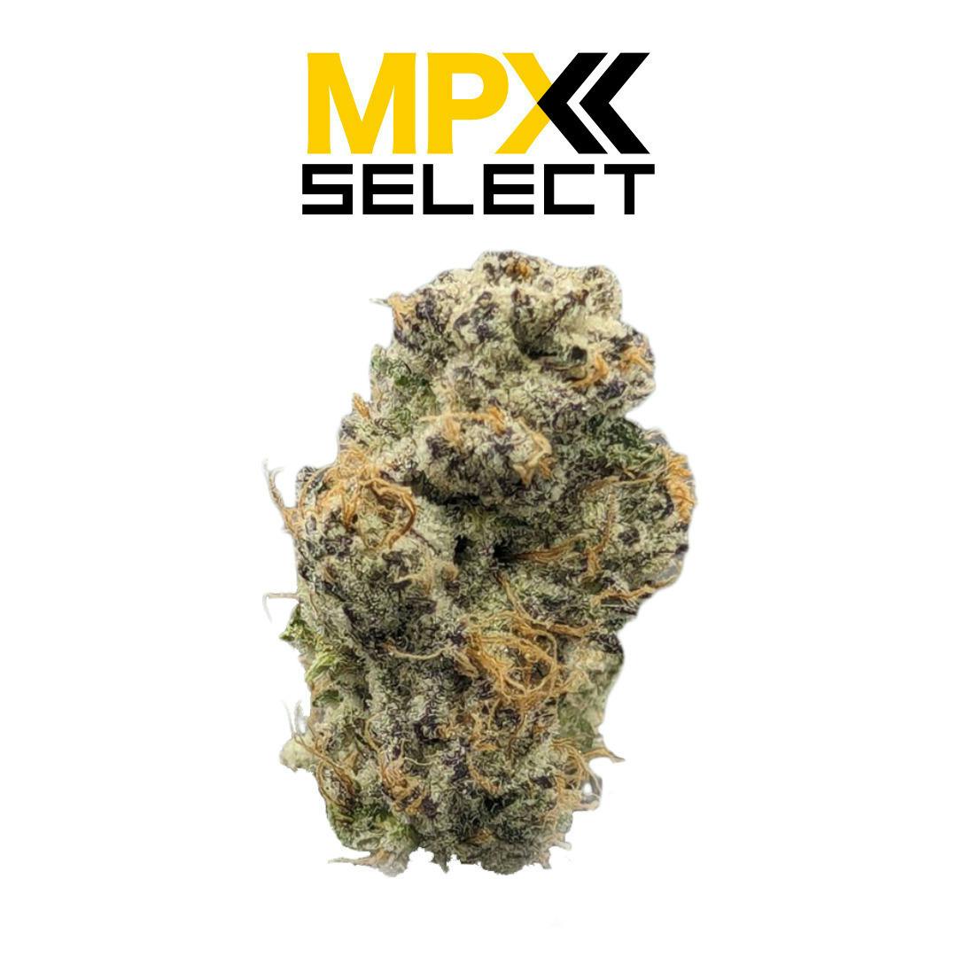 Grape Pie | Big Buds | 3.5g by MPX (Melting Point Extracts)