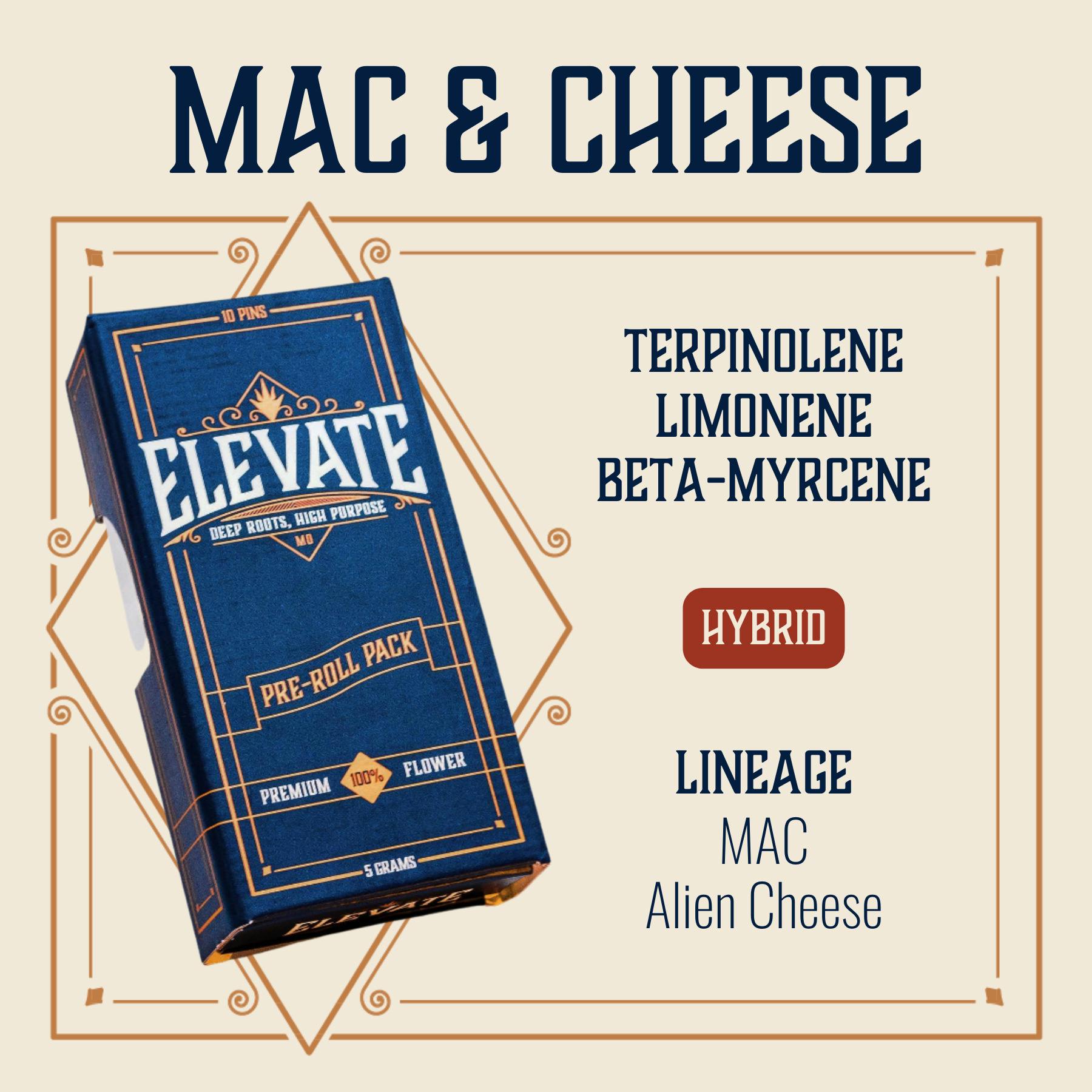 Mac & Cheese | Minis | 0.5g | 10pk
