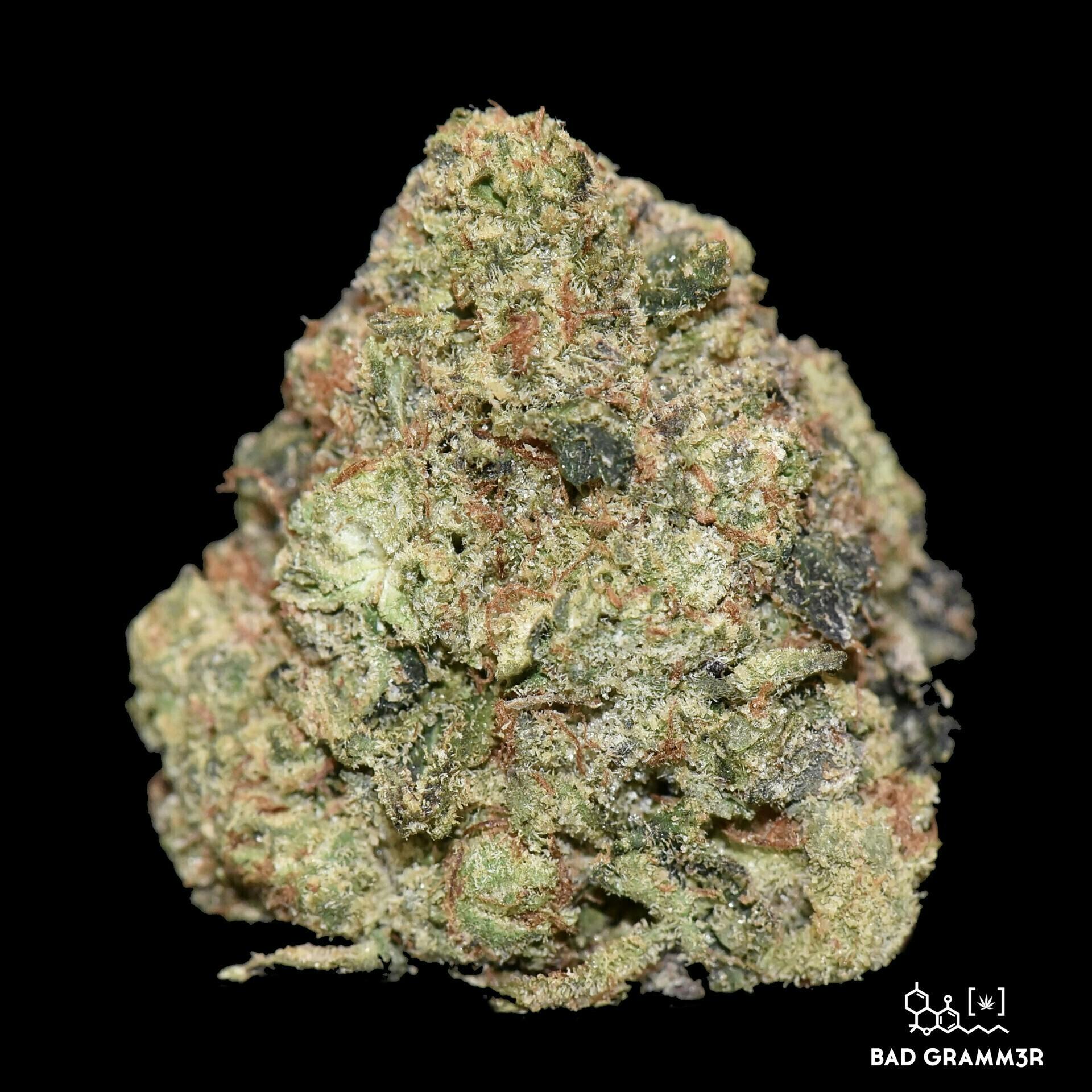 Indian Gold | Big Buds | 1g by LBS