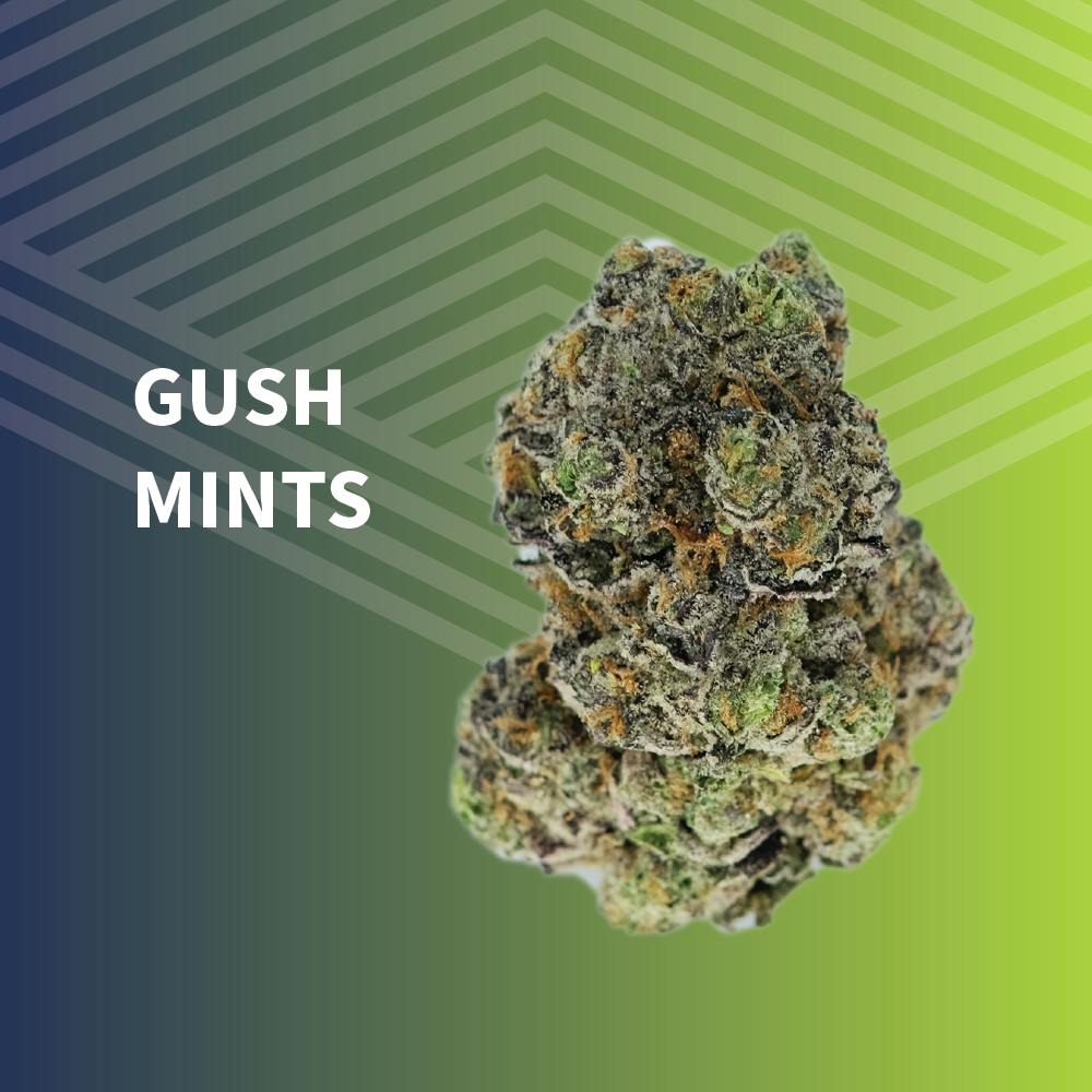 Gush Mints | Big Buds | 1g at Pure Dakota Health Williston Dispensary