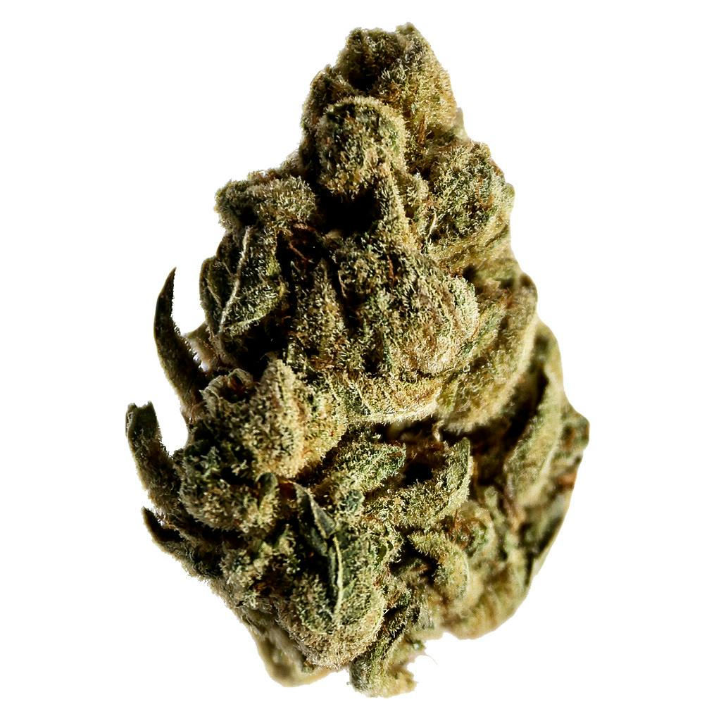 Candy Cane Kush | Big Buds | 7g