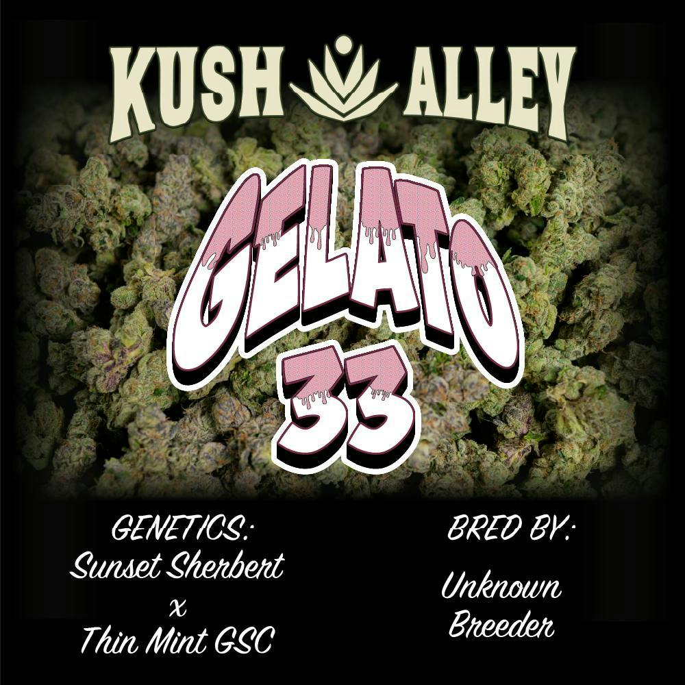 Gelato 33 | Big Buds | 4g