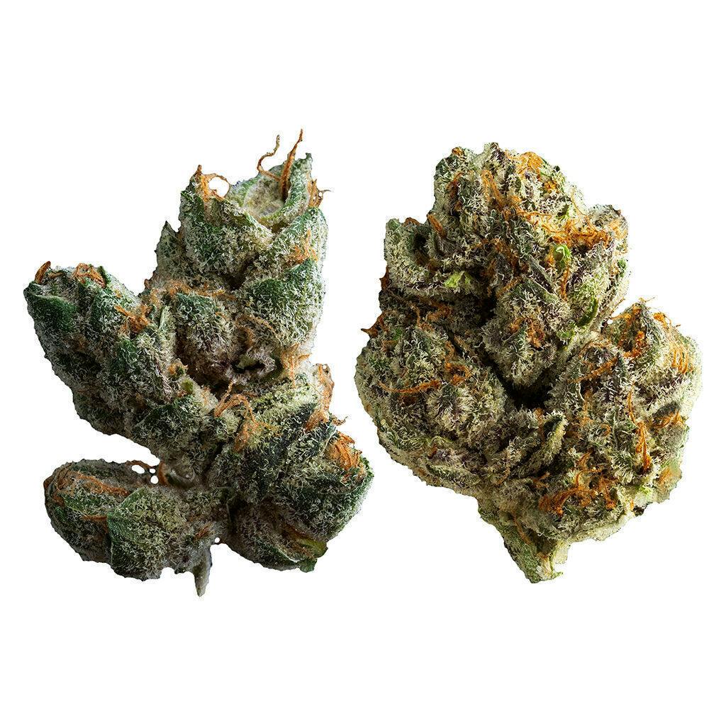 Power Pack | Big Buds | 14g
