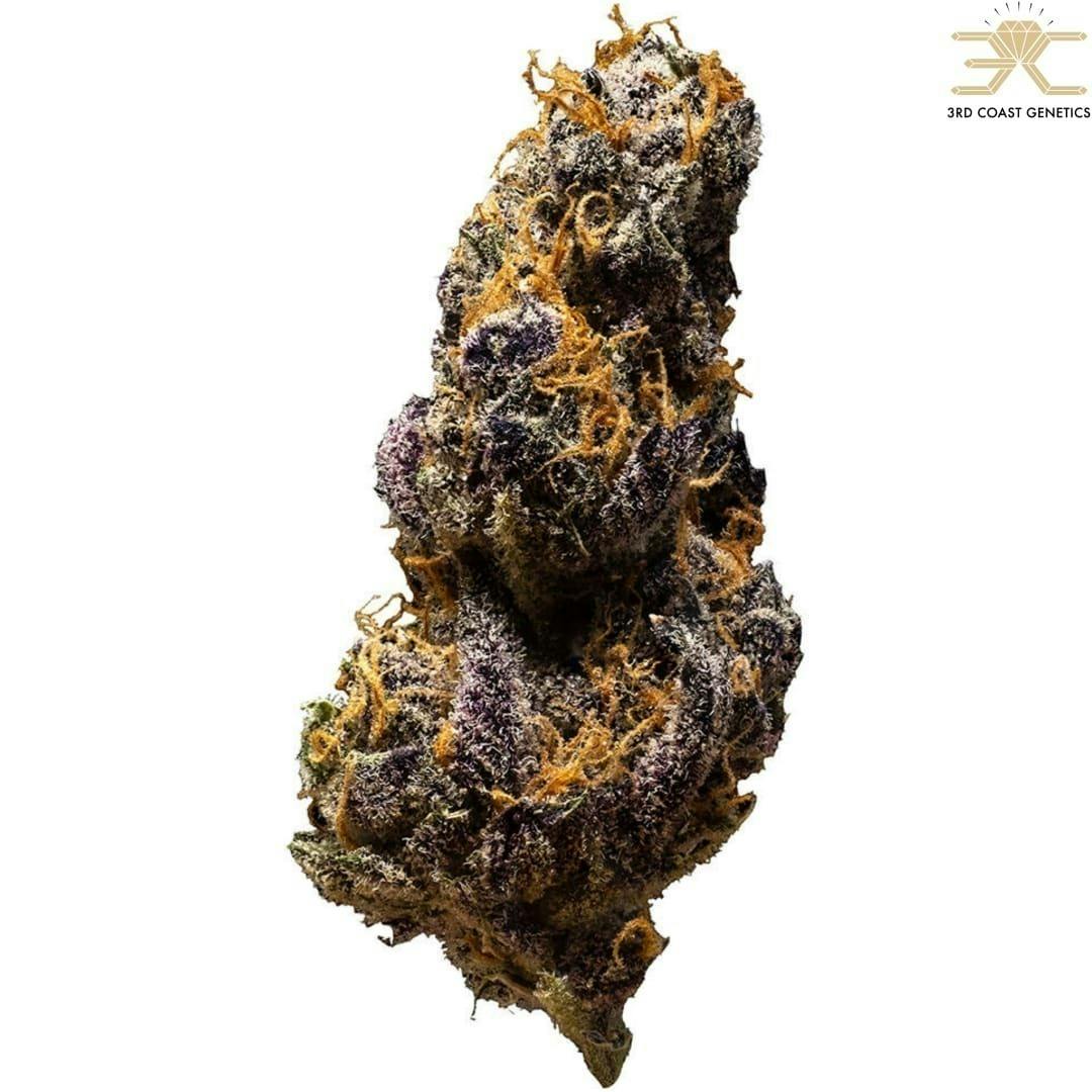 Black Cheese | Big Buds | 7g