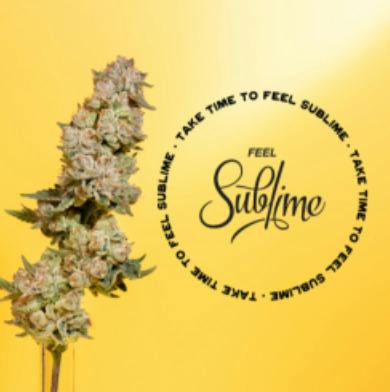Papa-Burger | Big Buds | 3.5g by Sublime