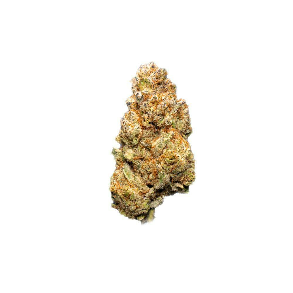 Peanut Butter Biscuit | Big Buds | 3.5g at Bold Dispensary