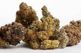 Member Berry | Big Buds | 1g