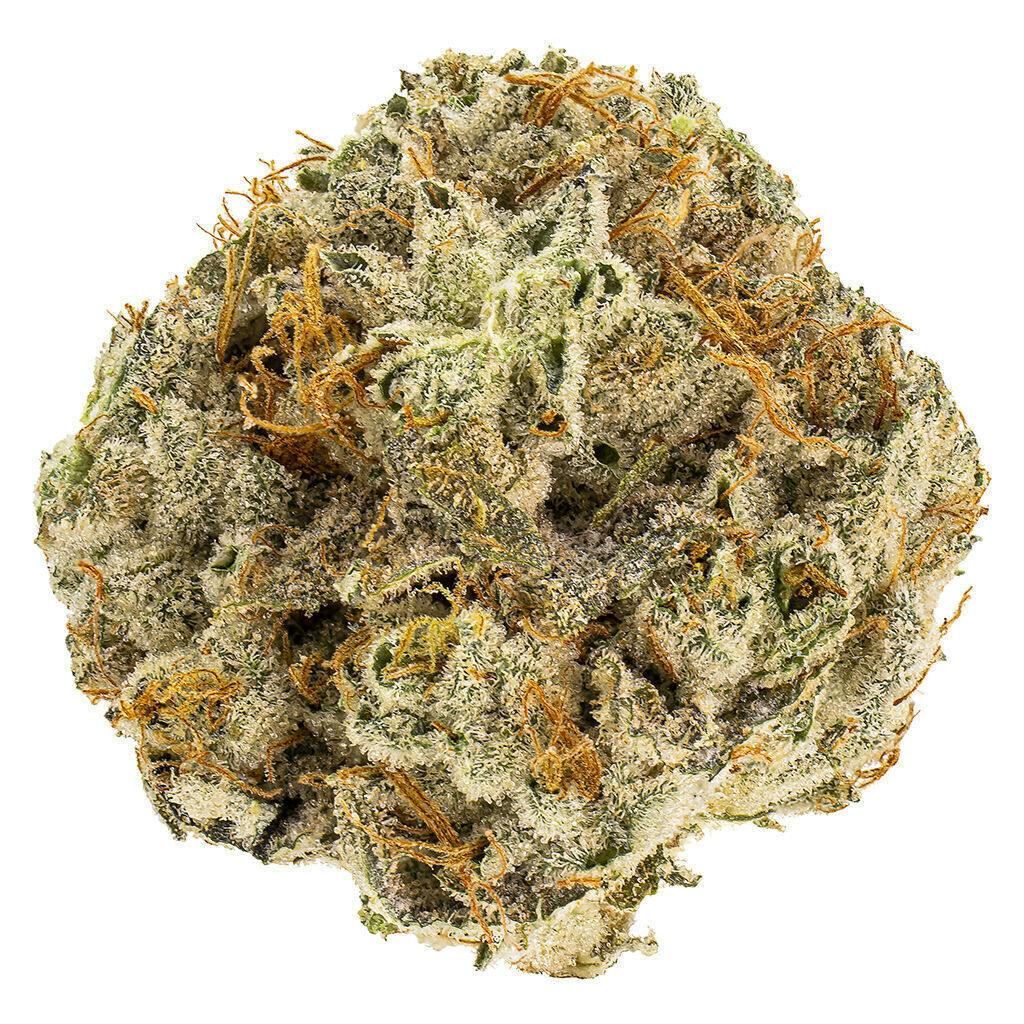 Atlantic Glue | Big Buds | 7g