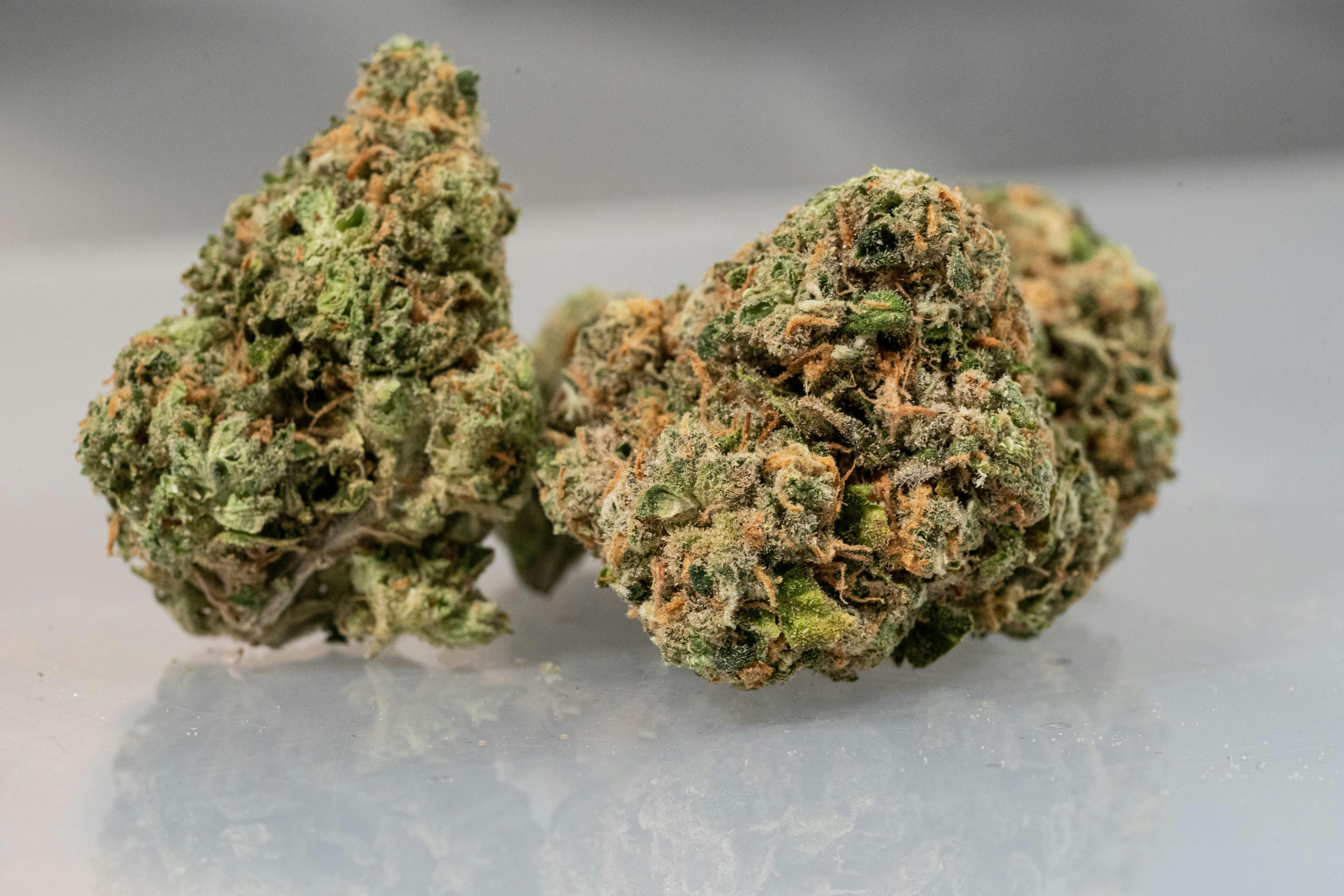 Burkle | Big Buds | 14g by Natural State Medicinals