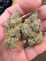 cap junky | Big Buds | 3.5g by Juicy Joints