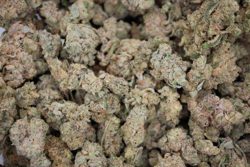 Chimera Junky | Big Buds | 7g by The Green Well