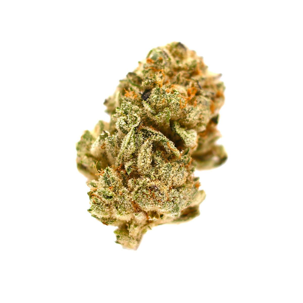Duchess of York | Big Buds | 3.5g