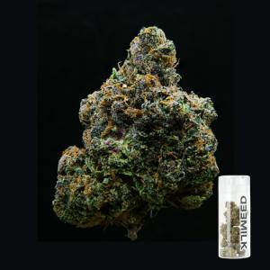 Candy Funk | Big Buds | 3.5g