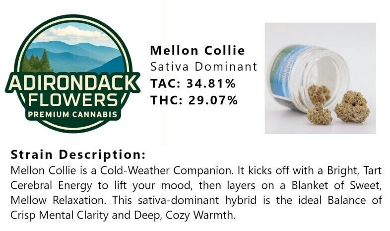 Mellon Collie | Big Buds | 3.5g